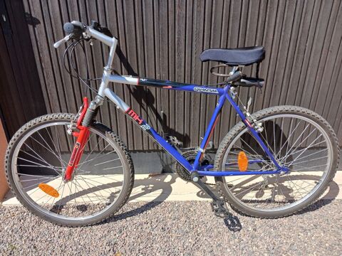 Vélo vtt 60 Dinsheim-sur-Bruche (67)
