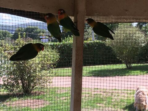 ins&eacute;parables 25 71240 Sennecey-le-grand