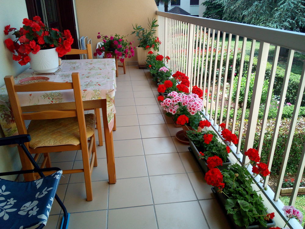 Vente Appartement T 4   RENOVE  95 m2  1er étage  DPE : C Saint-marcellin