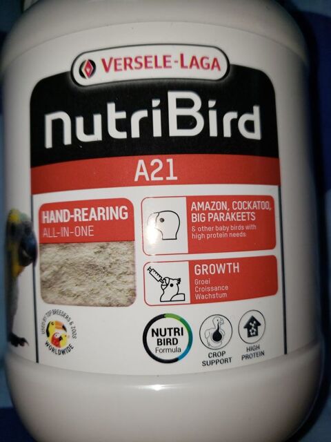 Nutriment b&eacute;b&eacute; perroquet  14 59320 Haubourdin