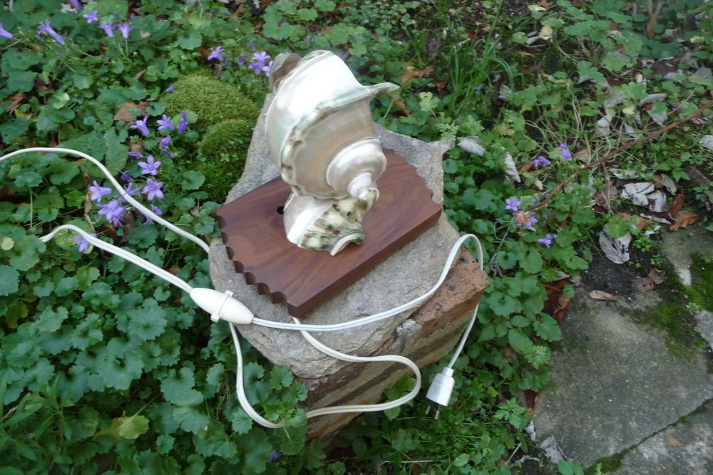 lampe coquillage D�coration