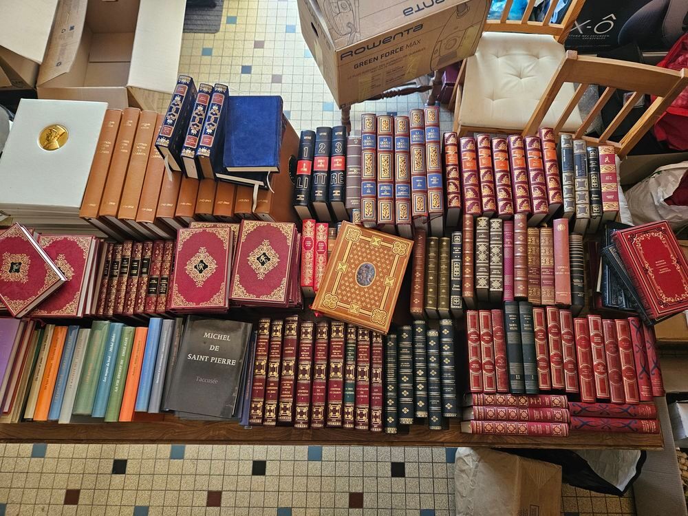 gros lot de livre de bibliotheque a saisir Livres et BD