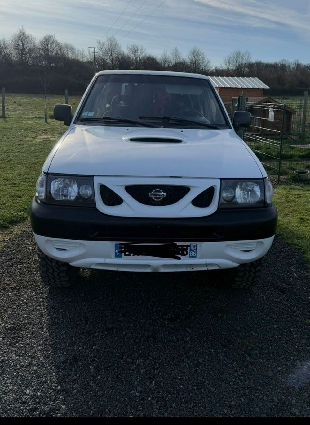 Terrano 2.7 TD LX 2000 occasion 36200 Argenton-sur-Creuse