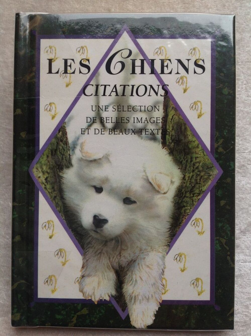 LES CHIENS CITATIONS PAR HELEN EXLEY Envoi Possible
Livres et BD