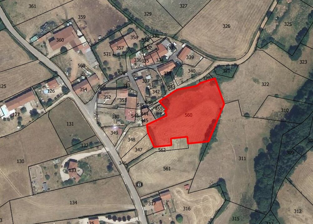 Vente Terrain TERRAIN CONSTRUCTIBLE 3600m2 Vorey