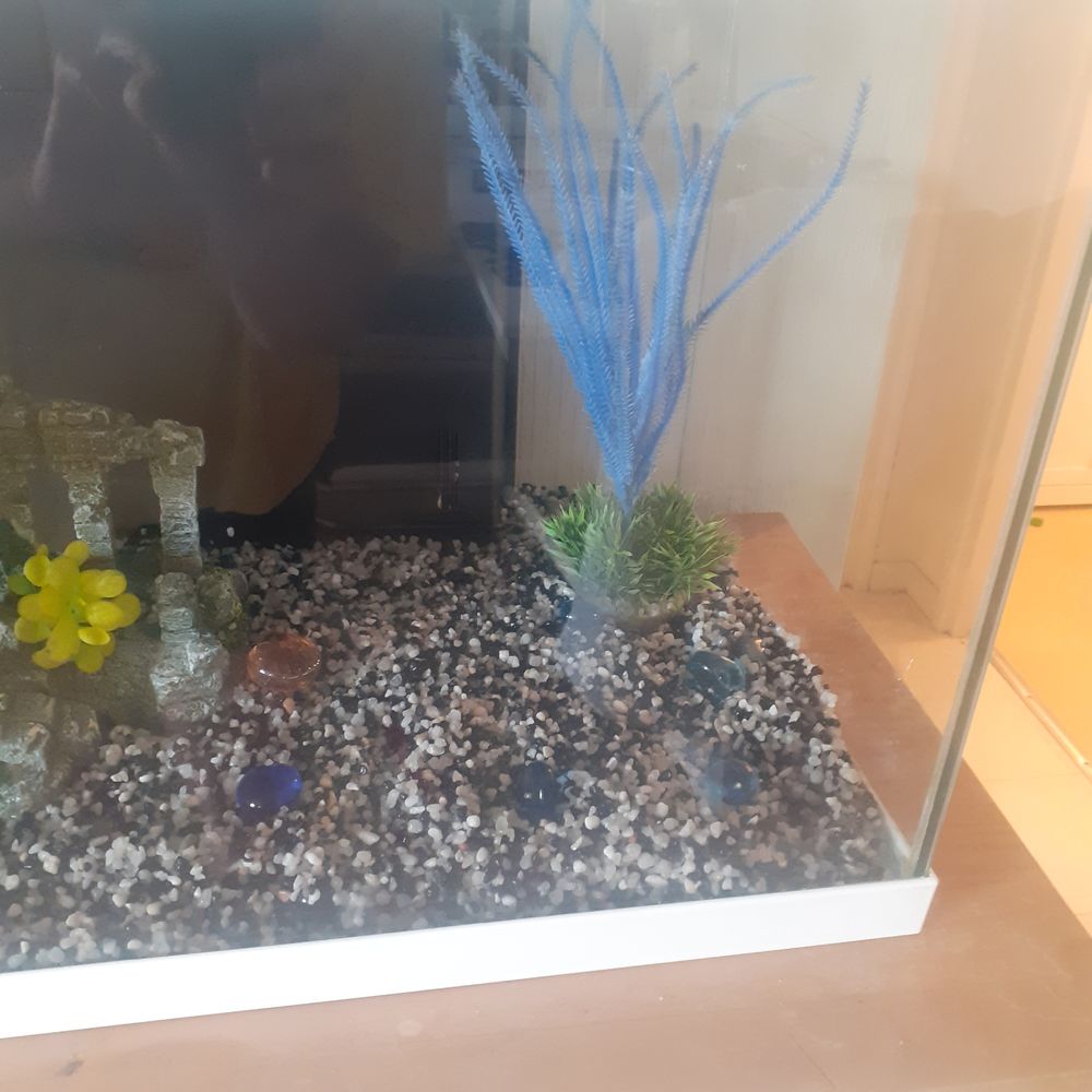 aquarium 60 litres Meubles
