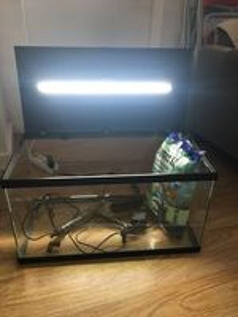   aquarium 50 l 