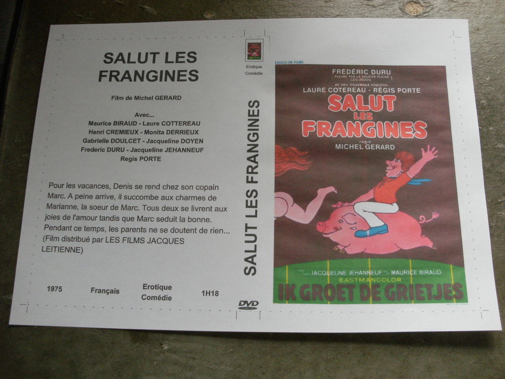 Film : " Salut les frangines " DVD et blu-ray
