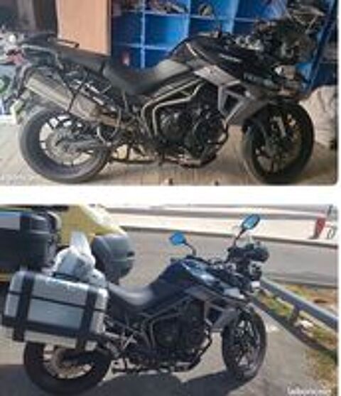 TRIUMPH 2015 occasion 34000 Montpellier