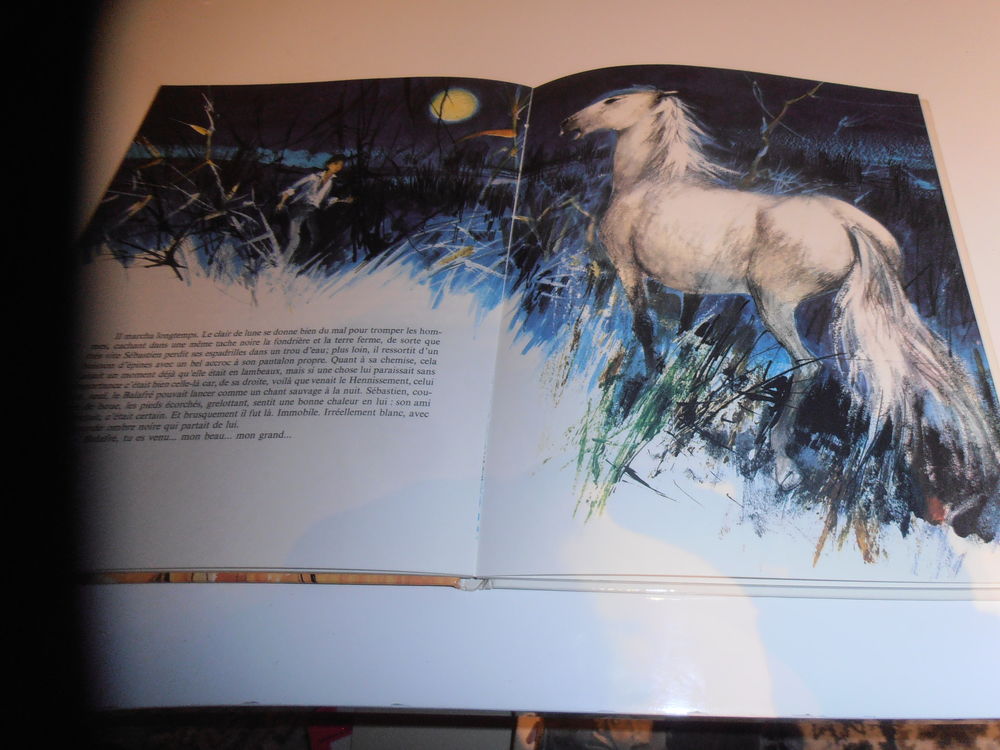 S&eacute;bastien et le cheval sauvage (4) Livres et BD
