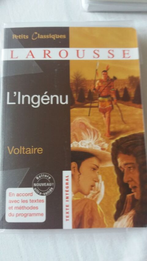 L ingenu 3 Bezons (95)