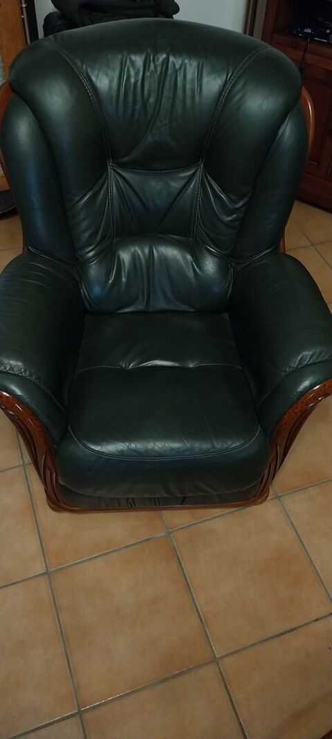 Deux fauteuils cuir véritable Châteaumeillant (18)