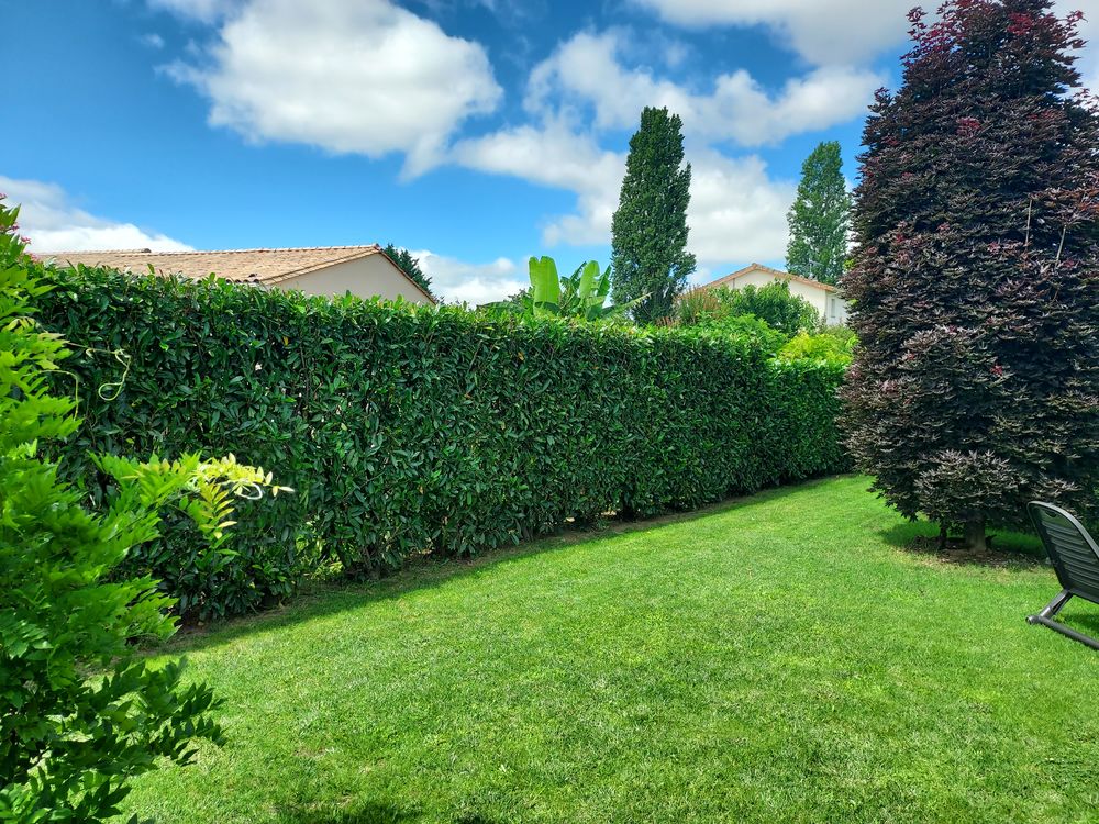   Jardinage près de Cubzac-Les-Ponts 