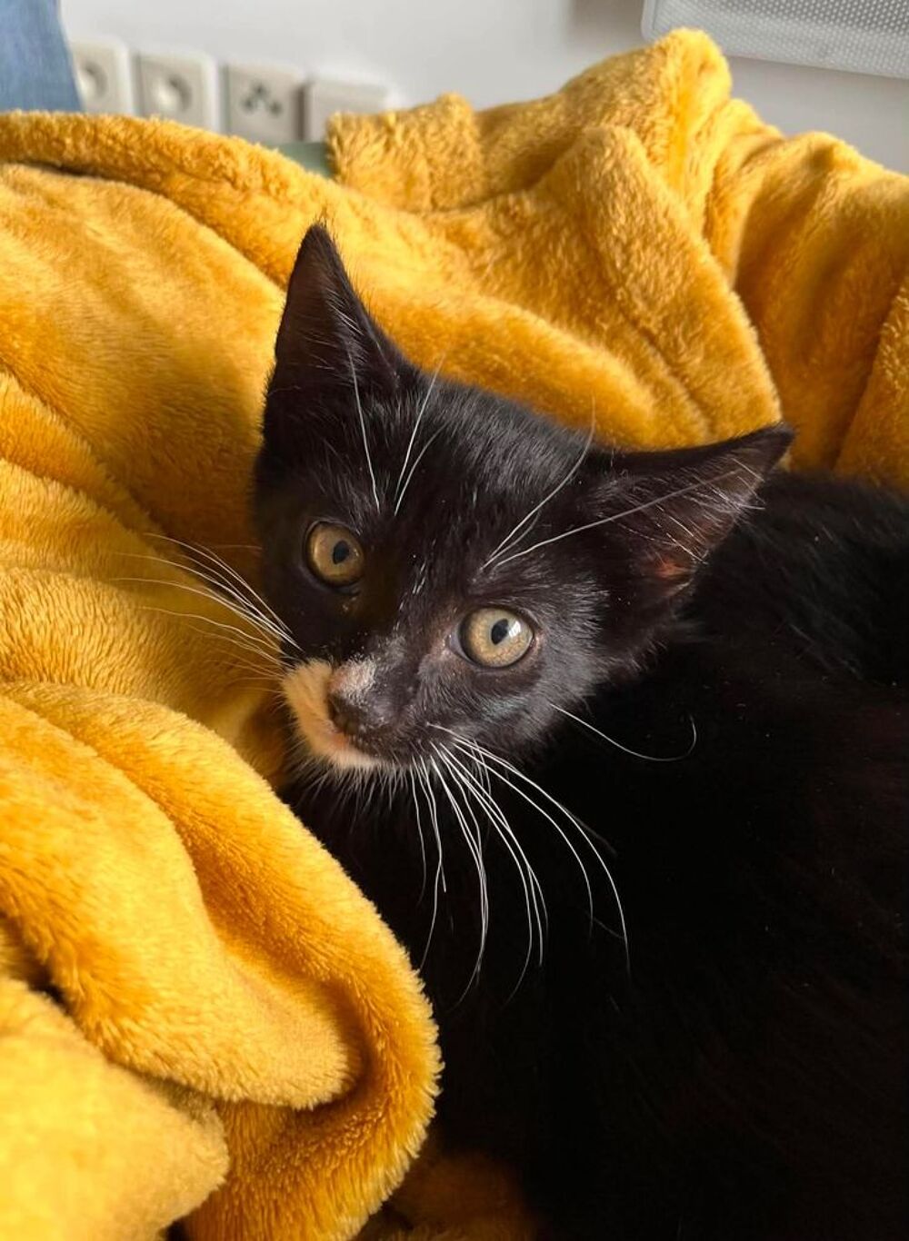   BINX 