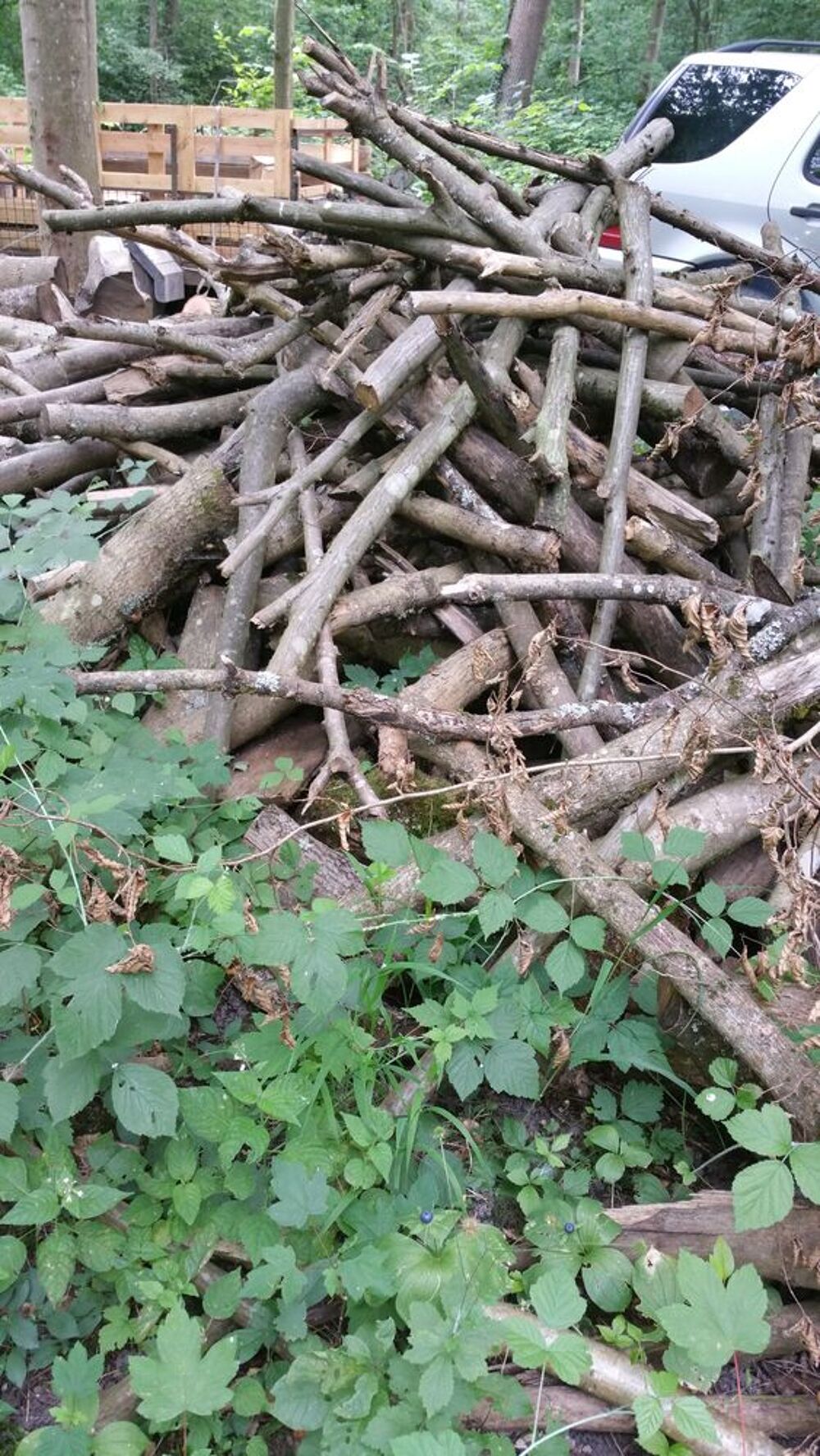 Bois de chauffage Bricolage