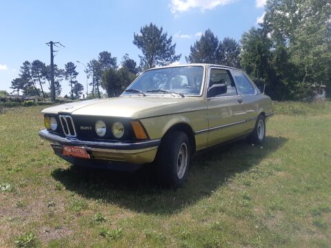 Bmw serie 3 B.M.W.  (320 e21 /6)