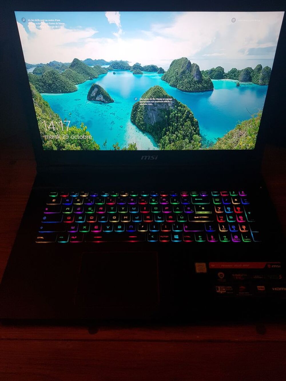  Pc Gamer MSI GE73 GTX 1070
Matériel informatique