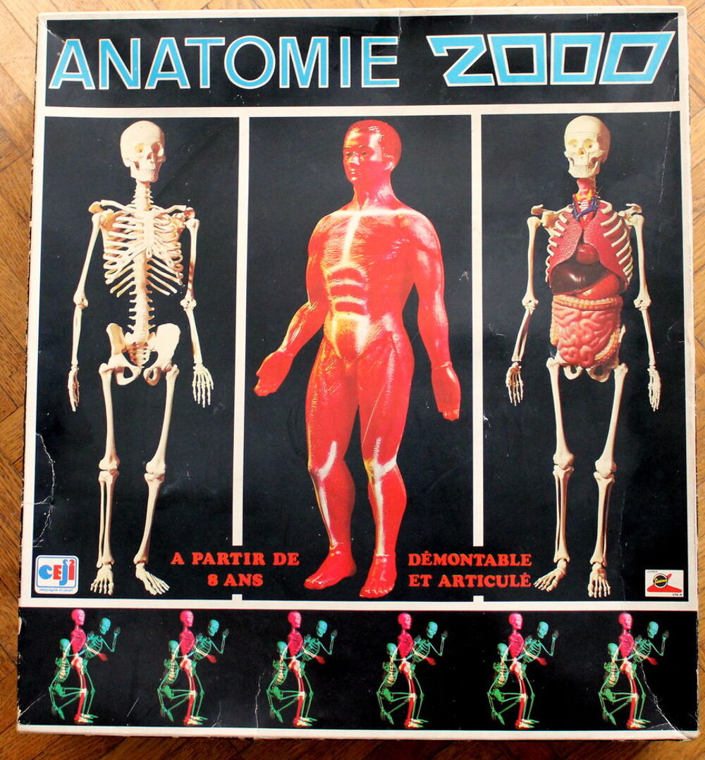 Anatomie 2000 - Coffret d'apprentissage &eacute;ducatif - C&eacute;ji Jeux / jouets