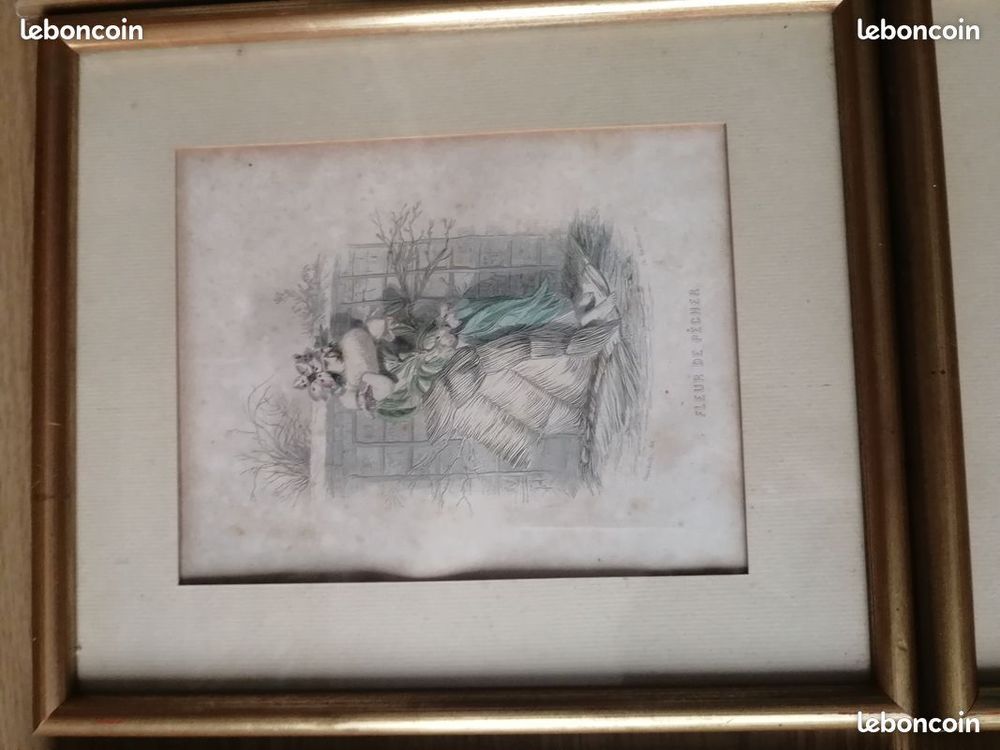 lot gravures graveur Granville fleurs plante femme fleur art 
