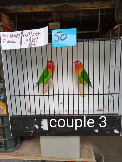 Ins&eacute;parable 55 59283 Raimbeaucourt