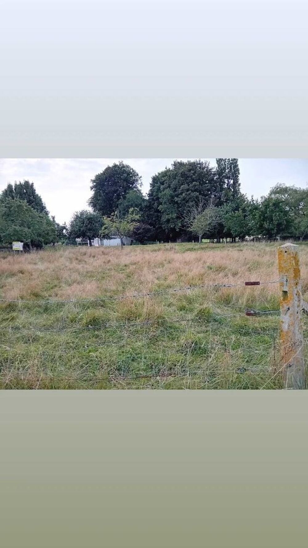 Vente Terrain Terrains viabilisés petit village Normand Sainte-marguerite-sur-fauville