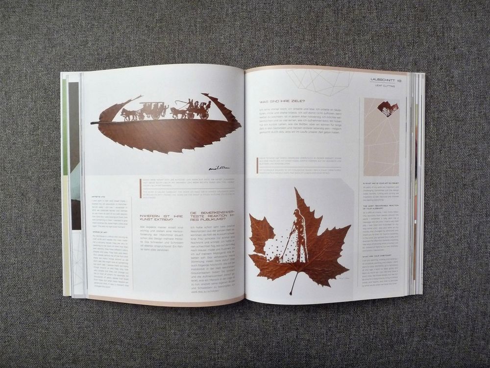 Creative Extremes- Die Unglaublichsten Kreativprojekte ... Livres et BD