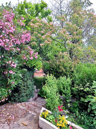  Villa � vendre 11 pi�ces 264 m� Pompignac