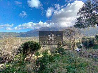  Terrain à vendre 1162 m² Calvi