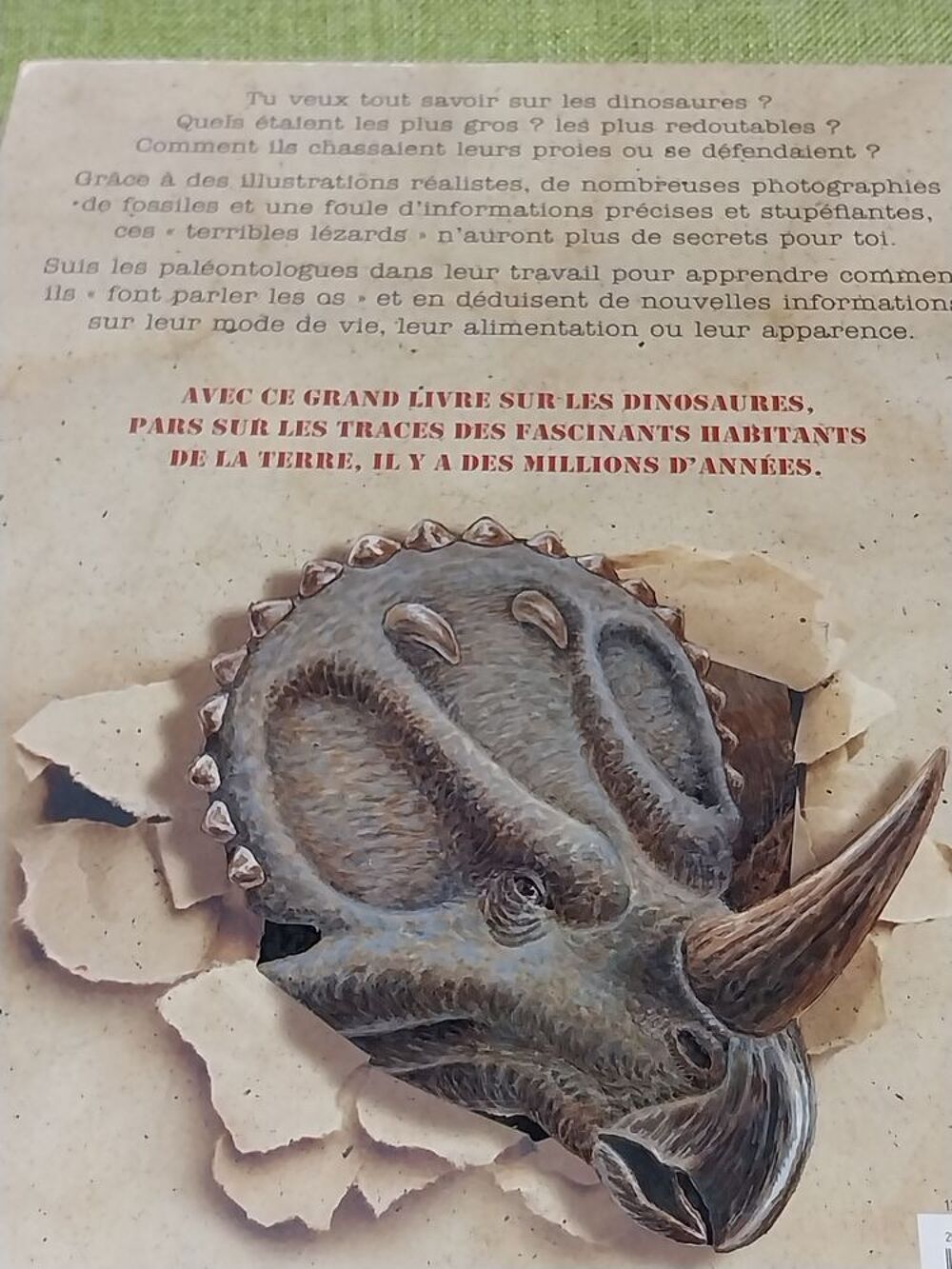 Dinosaures le livre de tous les secrets Rupert Matthews Livres et BD