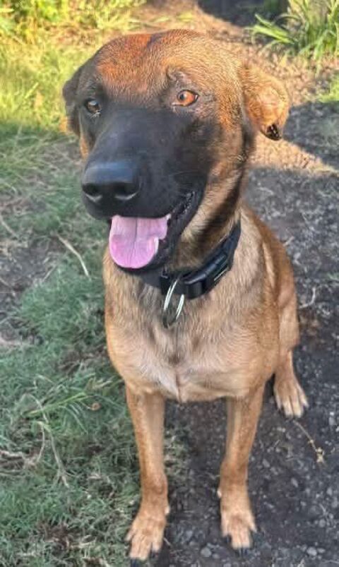 SKILLY 0 75018 Paris