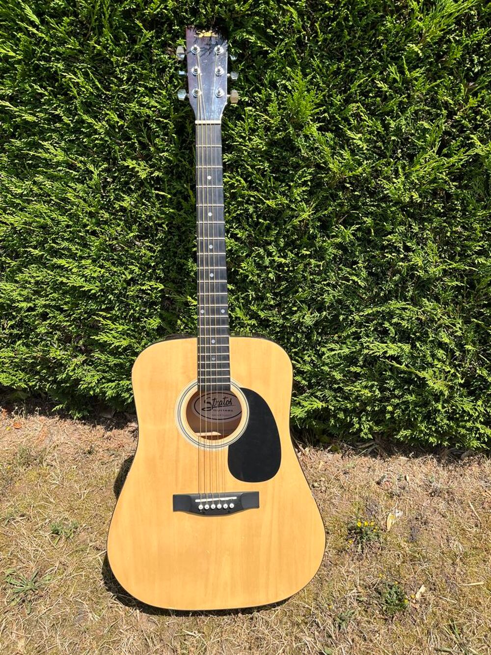 Guitare s&egrave;che Instruments de musique