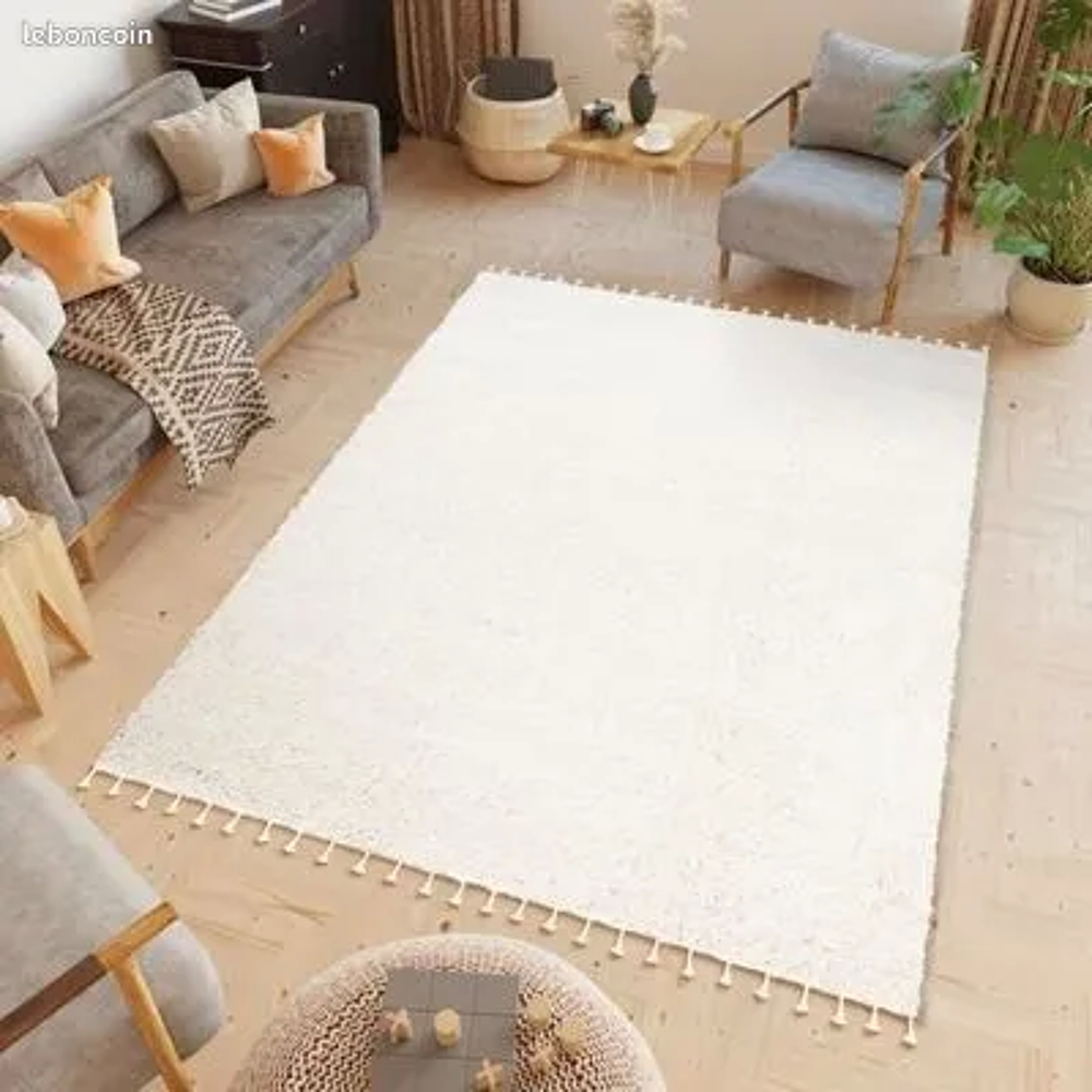 Tapis Salon Chambre Poils Longs BOHO Décoration