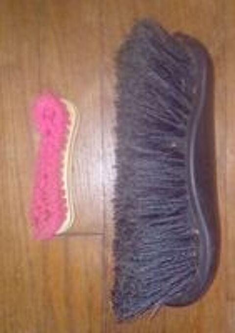   2 étrilles d'équitation + 2 brosses 