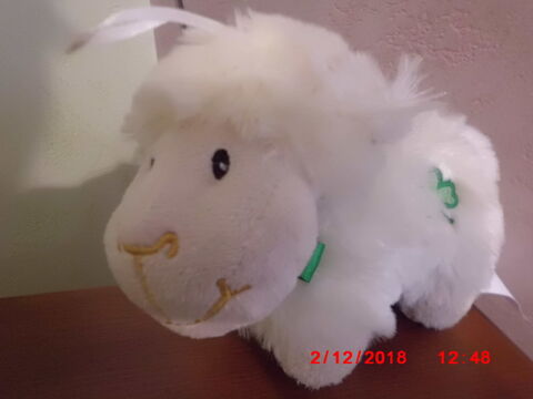 MOUTON BLANC ALLIEO 16 Oignies (62)