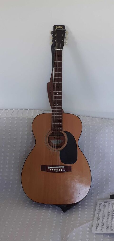 guitare+classique+folk+électrique 1 Corbeilles (45)