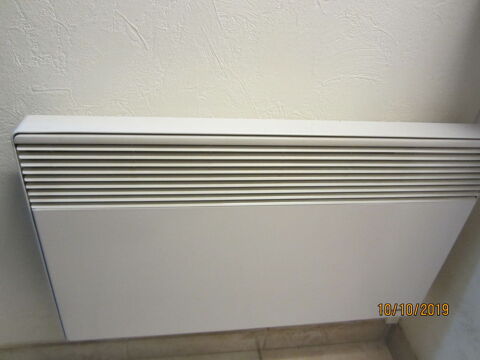 RADIATEUR ATLANTIC 30 Dizimieu (38)
