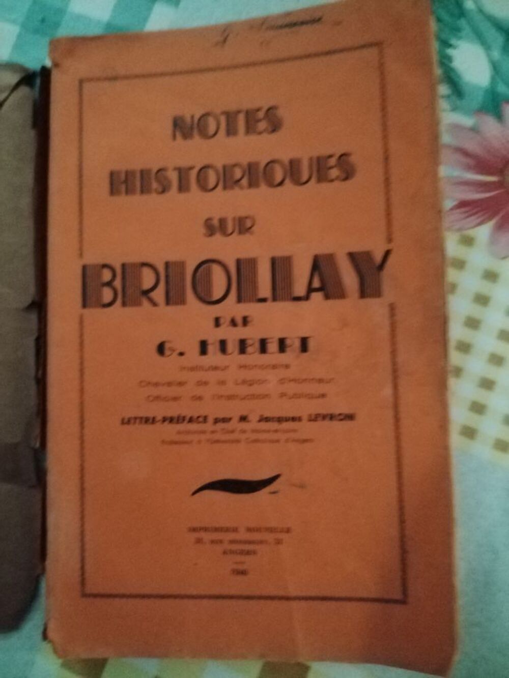 livre NOTES HISTORIQUES SUR BRIOLLAY Livres et BD