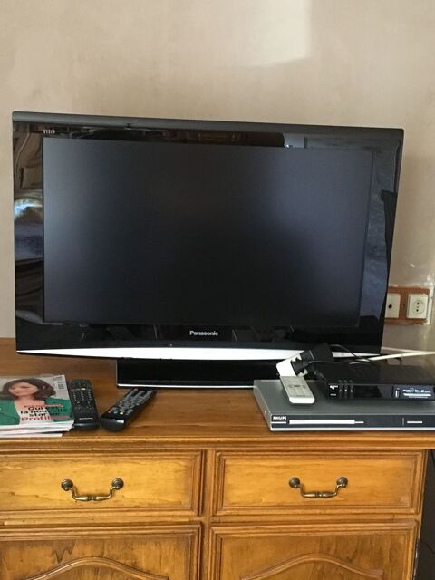 cran plat Panasonic 50 Domptin (02)