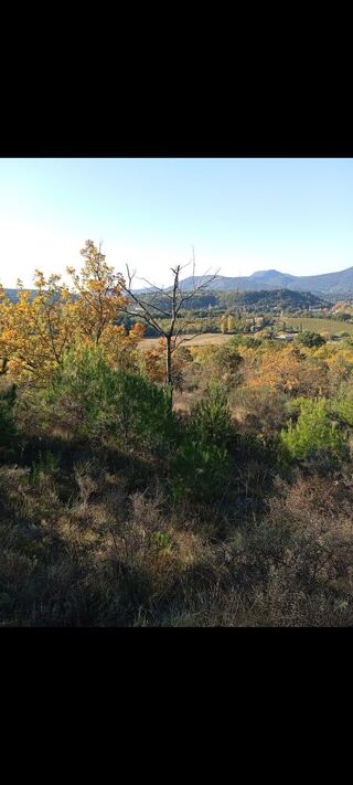  Terrain � vendre 10000 m� Entrechaux