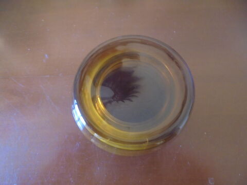 Couvercle de remplacement (30) 2 Tours (37)