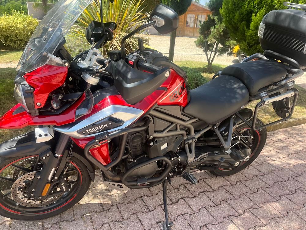 TRIUMPH 2018 occasion 38460 Trept