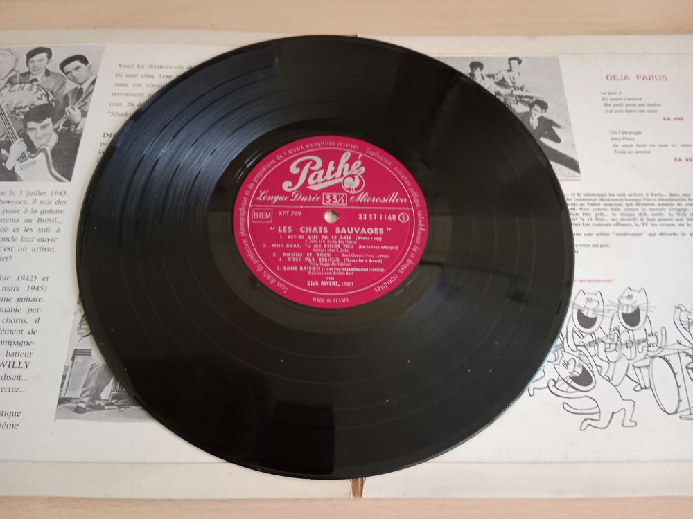LES CHATS SAUVAGES 25 Cm CD et vinyles