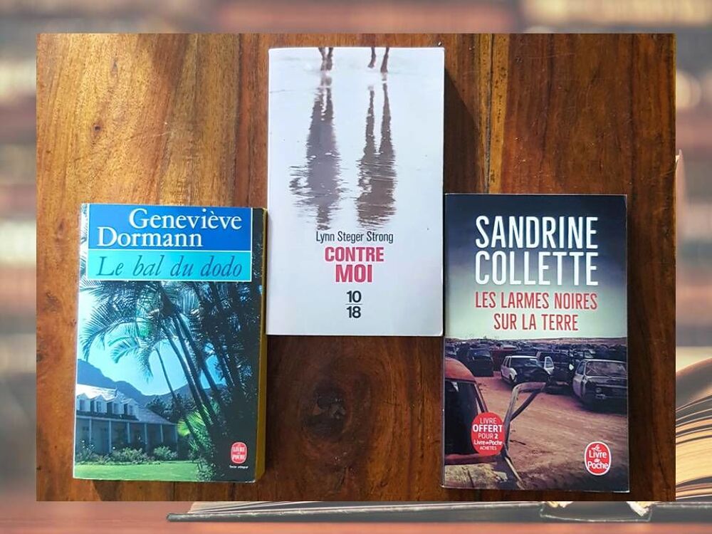 Litt&eacute;rature contemporaine - Lot 3 romans Poche Pocket Livres et BD