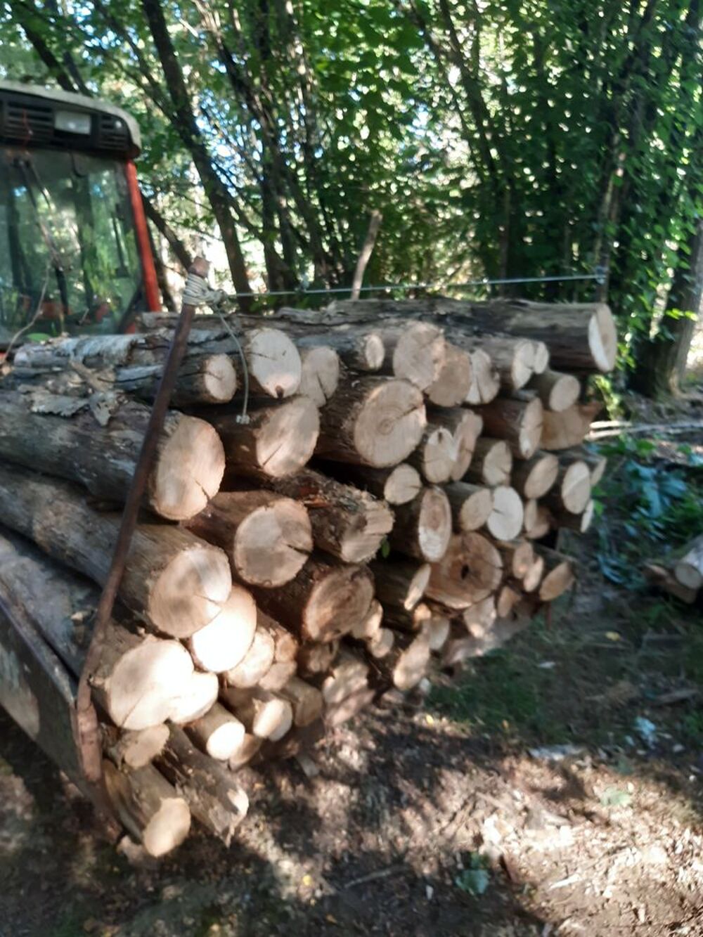 bois de chauffage Bricolage