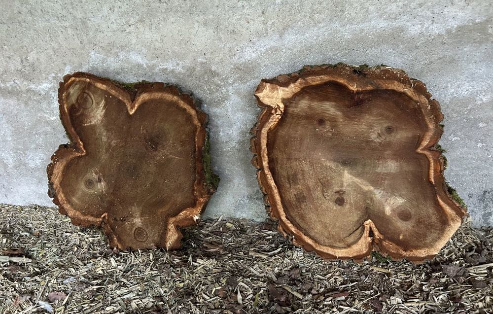 grandes rondelles bois brut, tranches de bois massif Jardin