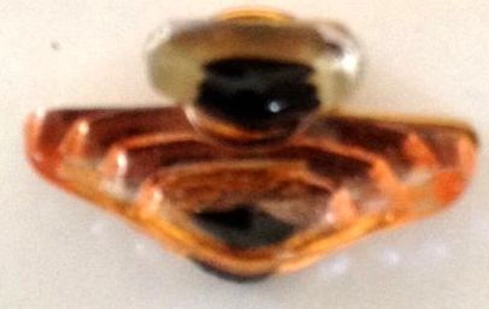 Rare pin's du Parfum "Tr&eacute;sor" de Lanc&ocirc;me
