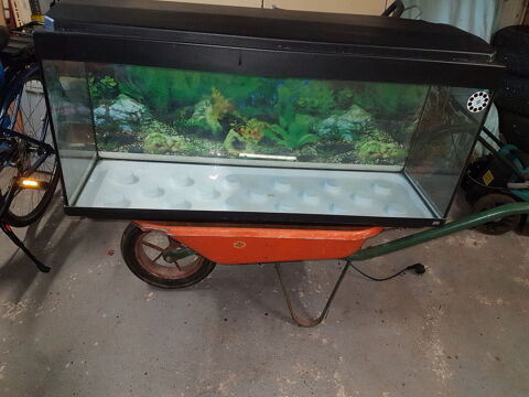 Aquarium 120litres bon �tat 40 Fresse-sur-Moselle (88)