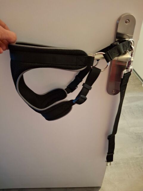 Harnais + ceinture de s&eacute;curit&eacute; voiture pour chien 10 69003 Lyon