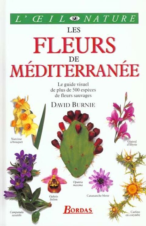 Les fleurs mediterraneennes 10 Combs-la-Ville (77)