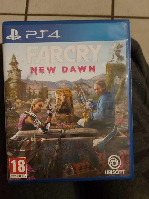 jeux PS4 10 Roujan (34)